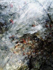Frozen Winter Berries