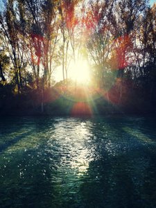 Golden River Sunlight