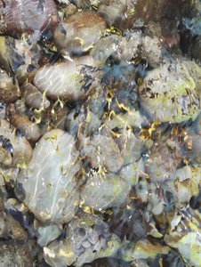 Pebbles In Clear Water