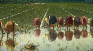 For Eighty Pennies by Angelo Morbelli