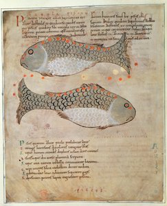 The Constellation Pisces (from 