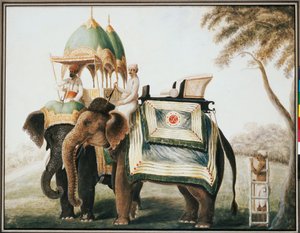 Elephants with their Mahout, c.1815 by Anglo Indian School