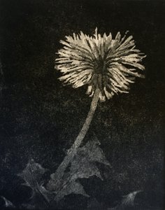 Hope by angus hampel