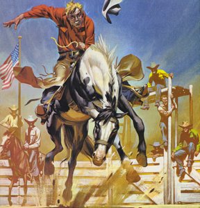 American Bronco Rider