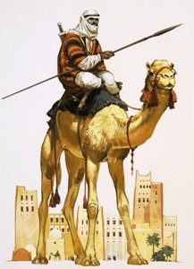 Arab on Camel