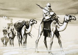 Camels crossing the desert