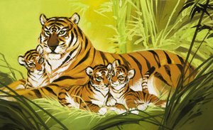 Family of Tigers