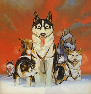 Huskies