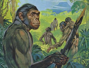 Pithecanthropus