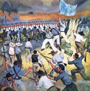 The Defence of the Eureka Stockade