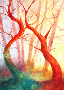 Enchanted Forest Glow