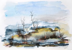 Misty Autumn Wetland