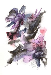 Moody Floral Sketch