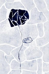 Abstract Blue Rose by Ankie Kooi