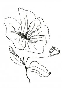 Delicate Flower Sketch