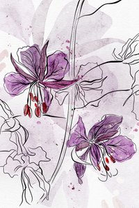 Purple Watercolor Blooms