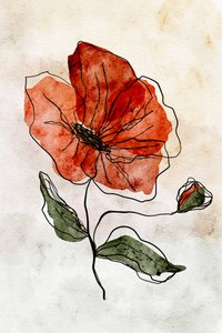 Red Watercolor Poppy