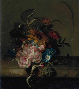 Sunflower, Bindweed and Two-tone Tulip