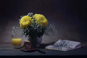 Cozy Reading Moment by Anna Qu