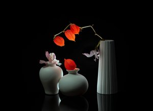 Elegant Floral Still Life by Anna Qu