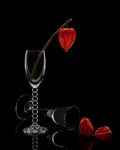 Glass And Physalis Still Life by Anna Qu