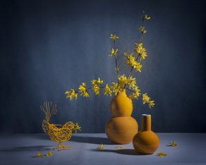 Golden Forsythia Still Life by Anna Qu