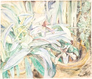 Orchids, Botanical Garden, Pisa