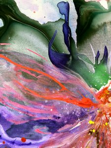 Colorful Fluid Dream