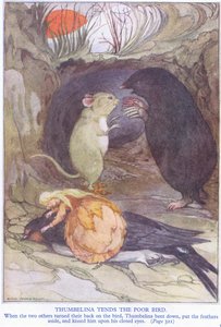 Thumbelina tends the poor bird