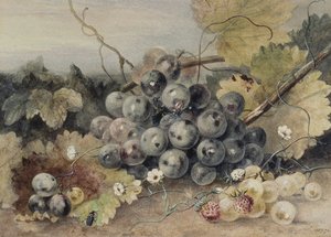 Grapes and Strawberries by Anne Frances Byrne