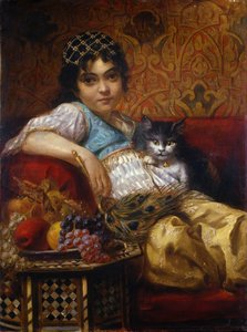 The Cat