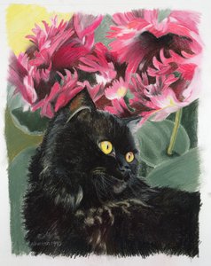 Black Tulips