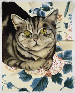 Tabby Cat