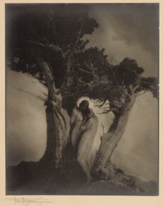 The Heart of the Storm by Anne W. Brigman