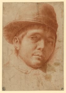 Portrait of a Young Man with Cap