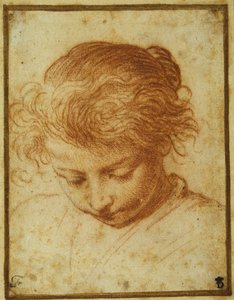 Head of a young girl looking downwards