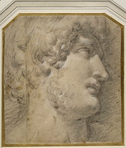 Head of the Emperor Gallienus (or Hadrian, after the antique)