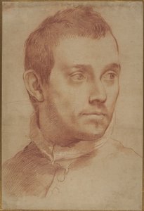 Portrait of a Young Man by Annibale Carracci