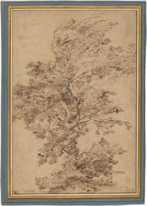 Study of a Tree by Annibale Carracci