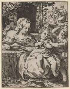 The Madonna of the Swallow