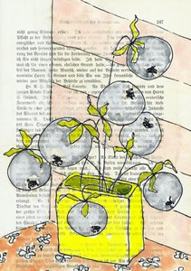 Colorful Blueberry Still Life by Annick