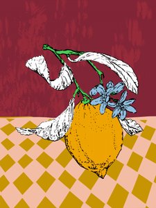 Lemon Bloom Still Life