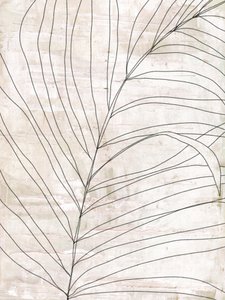 Minimalist Botanical Lines by Annick