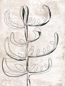 Organic Botanical Sketch by Annick
