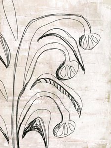 Organic Line Botanicals by Annick