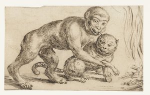 Monkey Holding a Cat