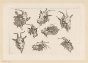 Eight Goat Heads by Anonymous