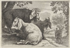 Angora Goats by Anonymous