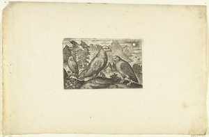 Eagle and a Partridge Volatilium varii generis (...) (series title)