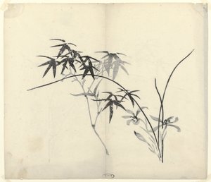 Bamboo and Orchids